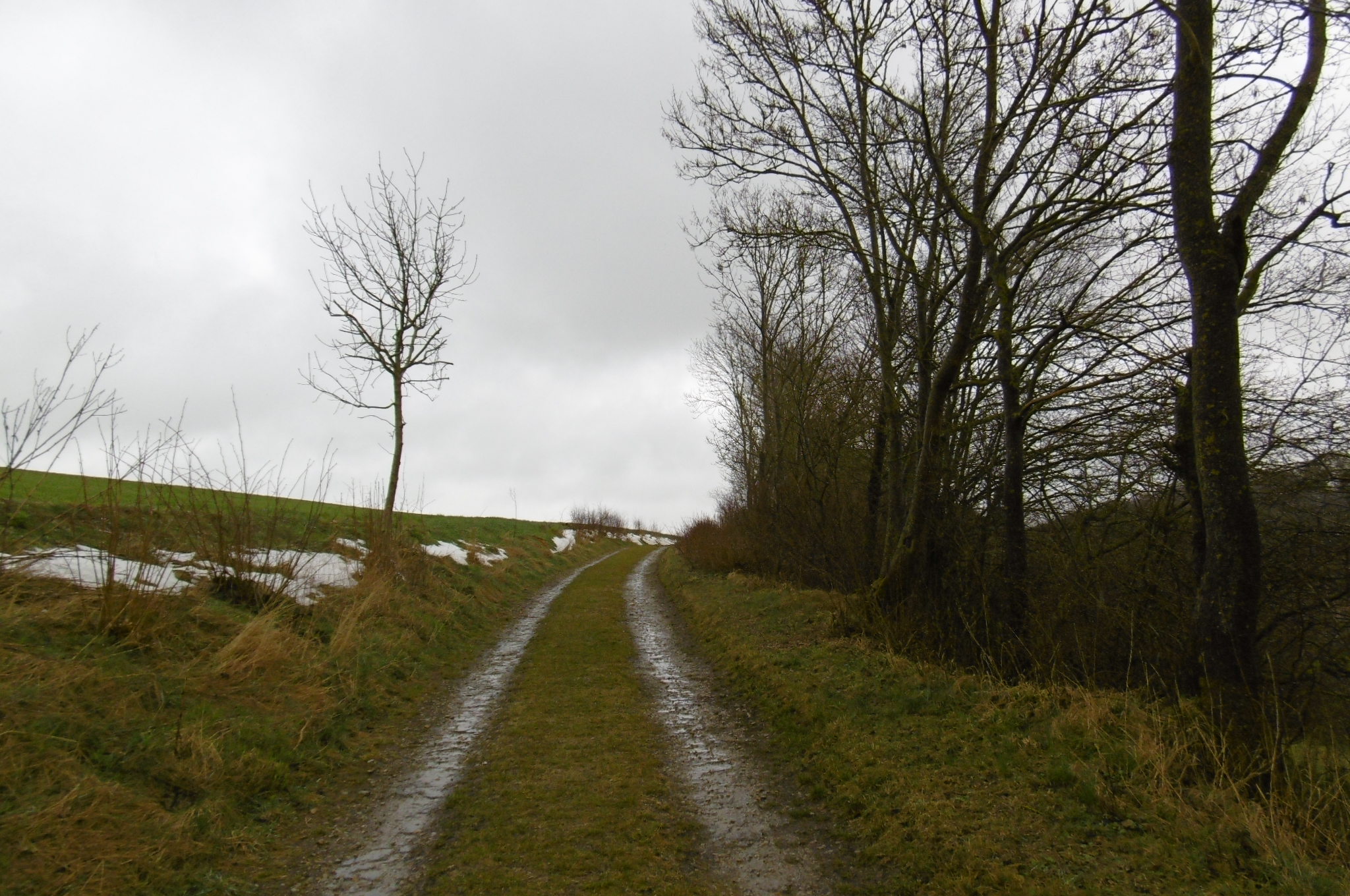 P1010095.jpg
