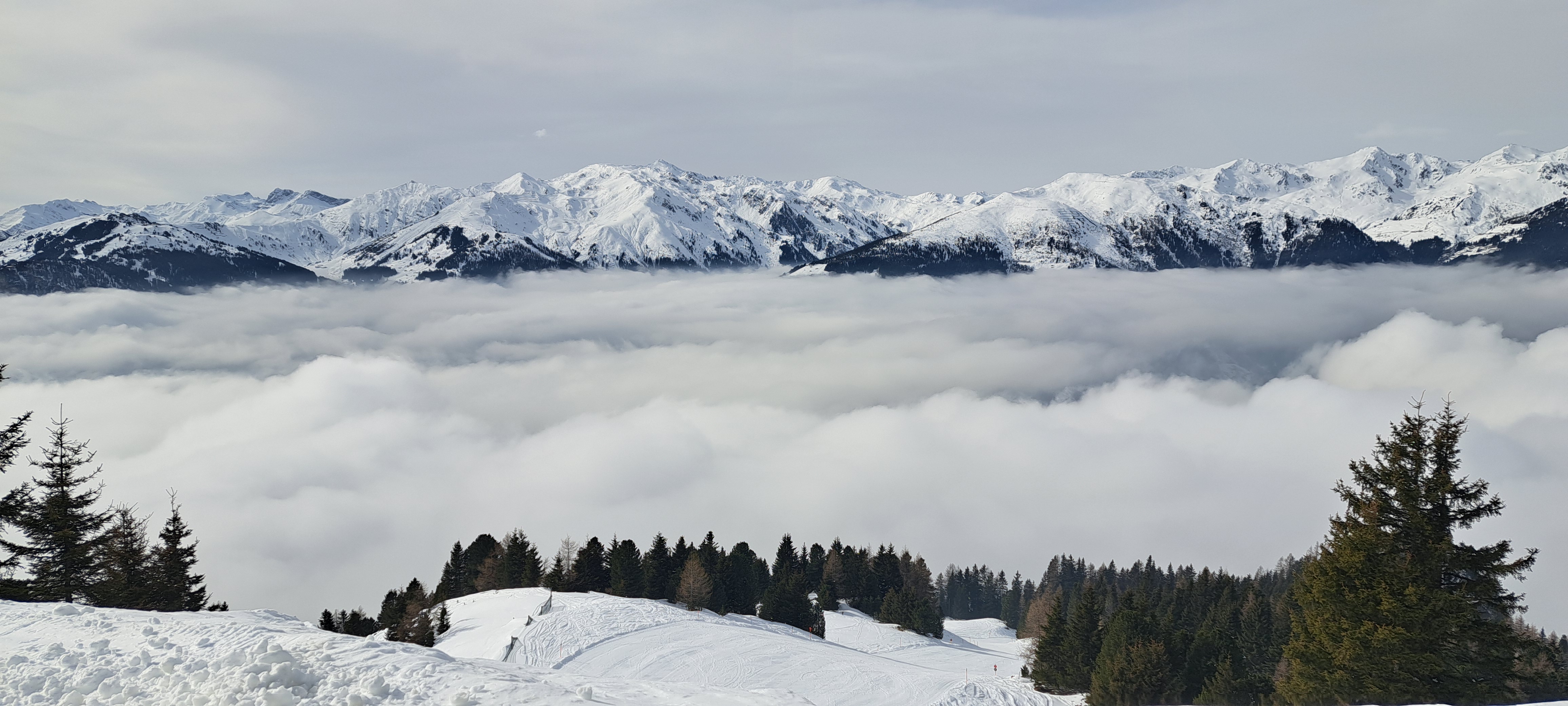 Bild1